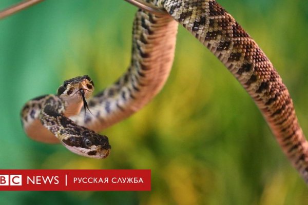 Кракен даркнет